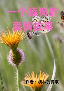 一个舔狗的爱情故事 一个舔狗的爱情故事