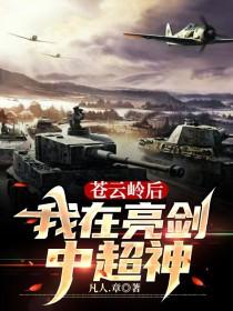苍云岭后我在亮剑中超神 苍云岭后我在亮剑中超神