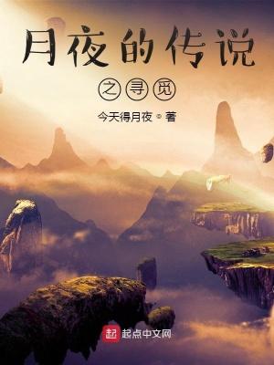 月夜的传说之寻觅 月夜的传说之寻觅